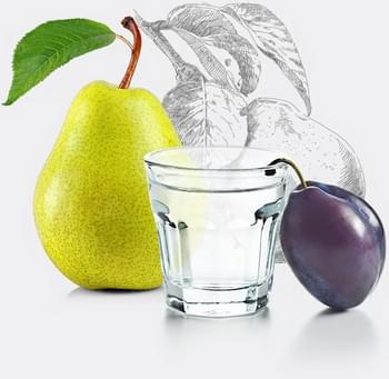 Palírna Libotovský Ledská